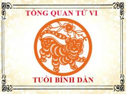Luận giải tử vi trọn đời tuổi Bính Dần - Nam mạng, Nữ mạng chi tiết nhất