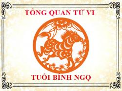 Luận giải tử vi trọn đời tuổi Bính Ngọ - Nam mạng, Nữ mạng chi tiết nhất