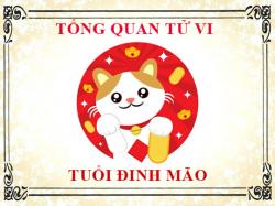 Luận giải tử vi trọn đời tuổi Đinh Mão - Nam mạng, Nữ mạng chi tiết nhất