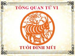 Luận giải tử vi trọn đời tuổi Đinh Mùi - Nam mạng, Nữ mạng chi tiết nhất