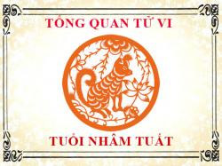 Luận giải tử vi trọn đời tuổi Nhâm Tuất - Nam mạng, Nữ mạng chi tiết nhất
