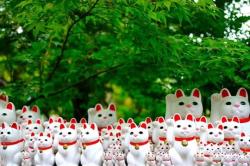Tìm hiểu: Ẩn ý của người Nhật trong chú mèo thần tài