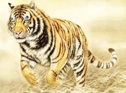Thăng tiến nhanh, phát triển sự nghiệp ổn định, những con giáp sẽ không phải lo lắng trong sáu tháng tới