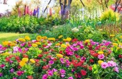 May mắn thay đổi! Ba con giáp đã xoay chuyển vận mệnh của họ