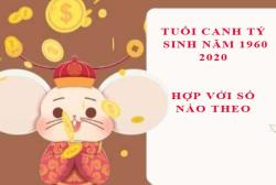 Phong thuỷ: Tuổi Canh Tý 1960, 2020 hợp với số mấy, và con số đường đời số nào?