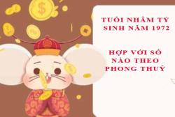 Phong thuỷ: Tuổi Nhâm Tý 1972 hợp với số mấy, và con số đường đời số nào?