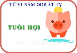 Luận giải tử vi tuổi Hợi năm 2025 Ất Tỵ (Tân Hợi, Quý Hợi, Ất Hợi, Đinh Hợi, Kỷ Hợi)