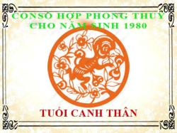 Phong thuỷ: Tuổi Canh Thân 1980 hợp với số mấy, và con số đường đời số nào?