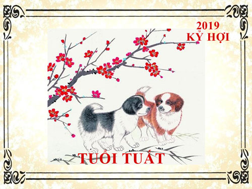 Xem tử vi tuổi Tuất năm 2019 Kỷ Hợi: Vận khí hanh thông, thành công sẽ đến