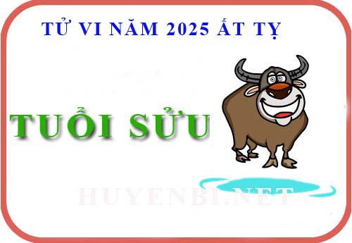 Luận giải tử vi tuổi Sửu năm 2025 Ất Tỵ (Tân Sửu, Quý Sửu, Ất Sửu, Đinh Sửu, Kỷ Sửu)