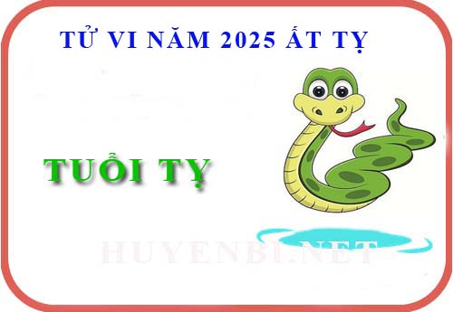 Luận giải tử vi tuổi Tỵ năm 2025 Ất Tỵ (Tân Tỵ, Quý Tỵ, Ất Tỵ, Đinh Tỵ, Kỷ Tỵ)